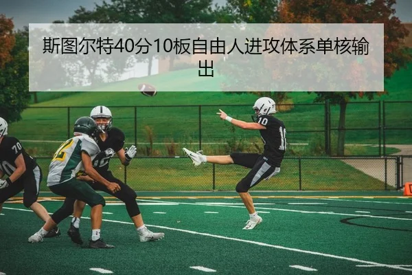 si-tu-er-te-fen-ban-zi-you-ren-jin-gong-ti-xi-dan-he-shu-chu-3-901.jpg